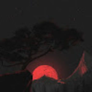 Meet your Posher, Ifey